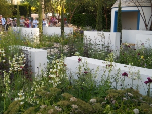 chelsea flower show 4866